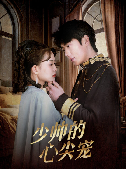9339-少帅的心尖宠(85集)