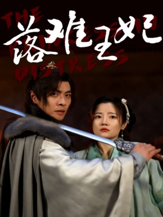 9060-落难王妃(70集)