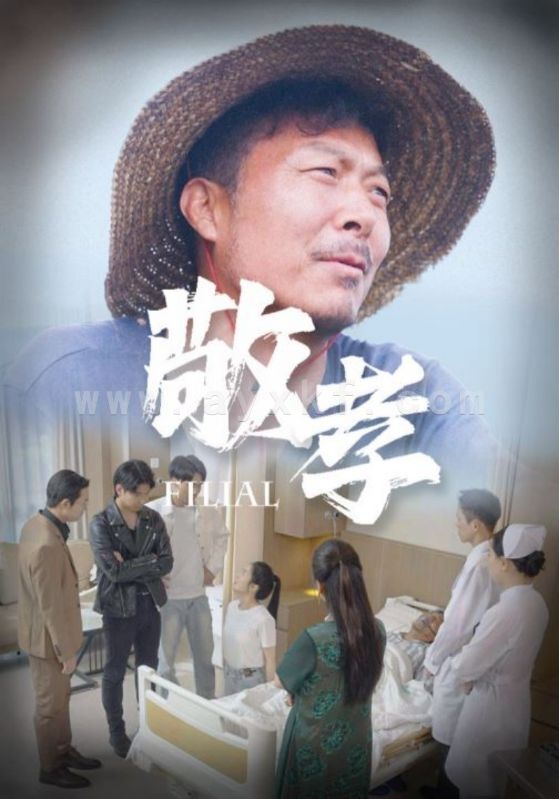 9385-敬孝(61集)王燕 内容图1 一个实时收录全网最齐全的短视频短剧网剧小剧场的网站! 9385-敬孝(61集)王燕 最新 图1张