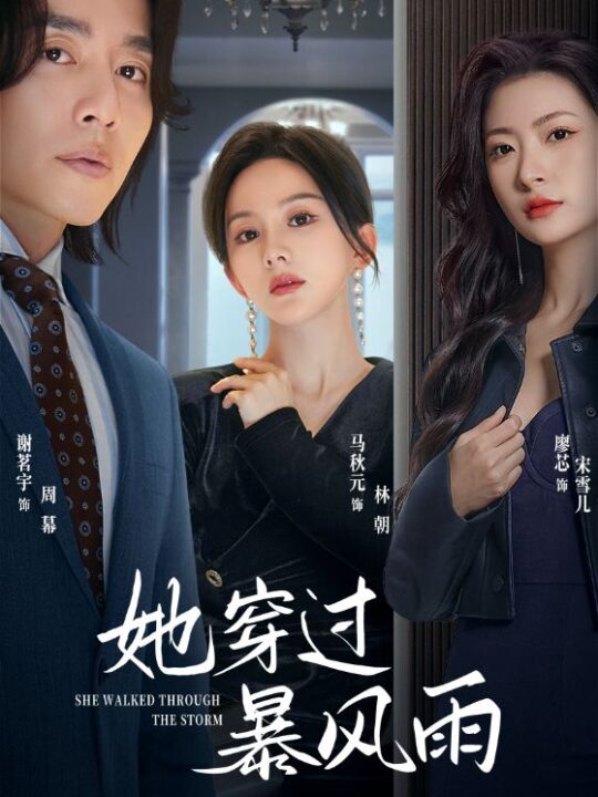 9215-她穿过暴风雨(71集)马秋元