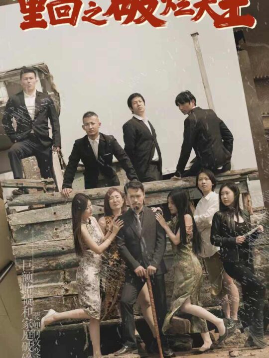 9033-重回1990之破烂大王(80集)