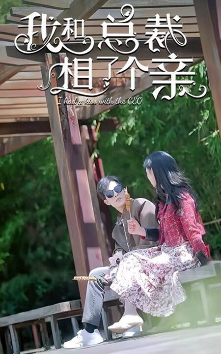 8492-我和总裁相了个亲(90集)姚冠宇
