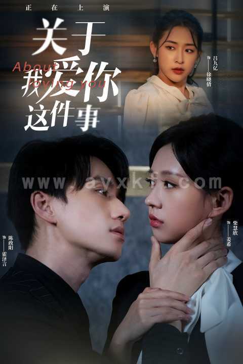 9138-关于我爱你这件事(83集)陈政阳&柴慧欣 最新 图1张