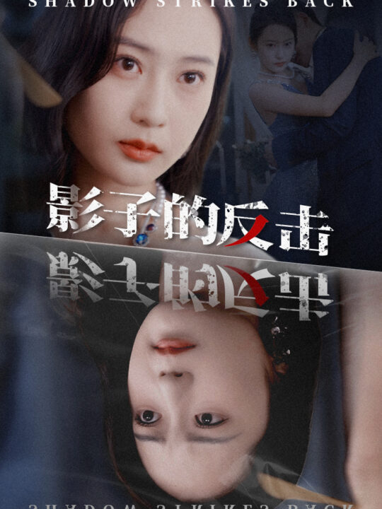 8787-影子的反击(31集)