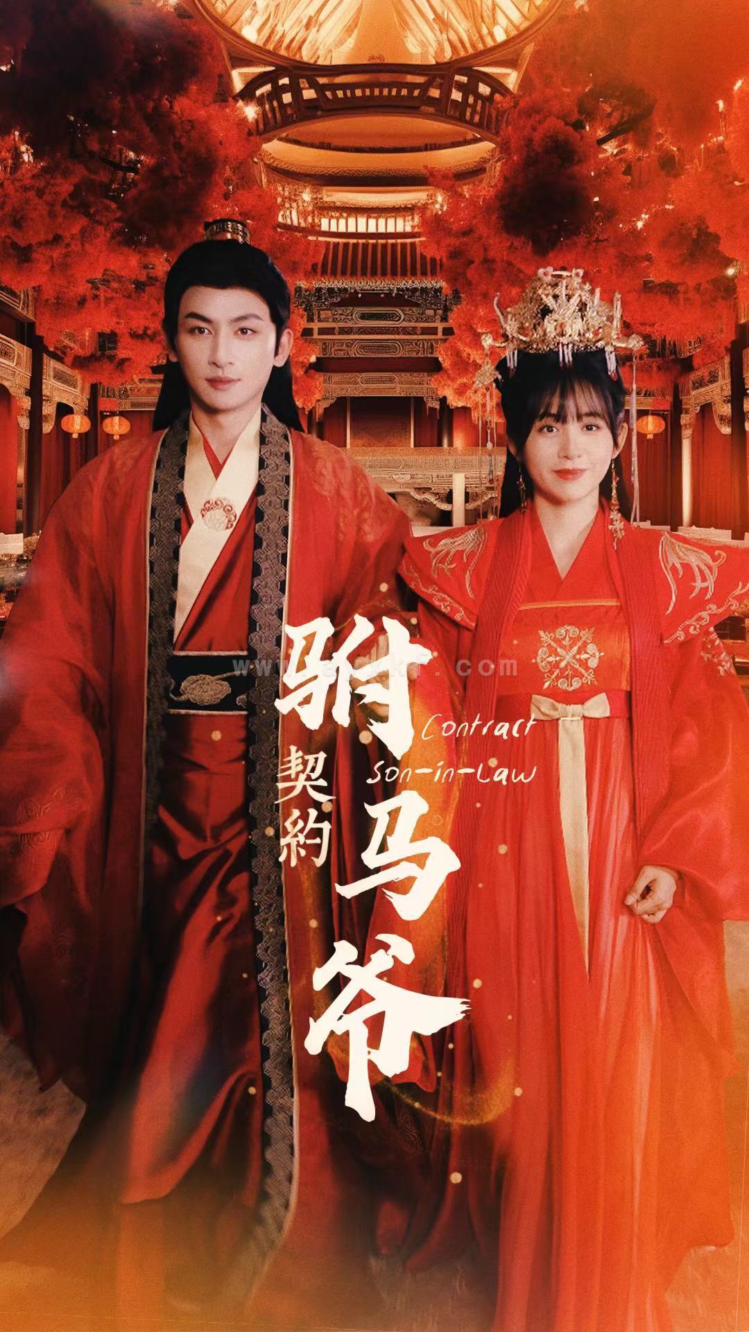 9061-契约驸马爷(74集) 最新 图1张
