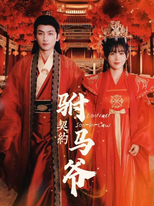 9061-契约驸马爷(74集)