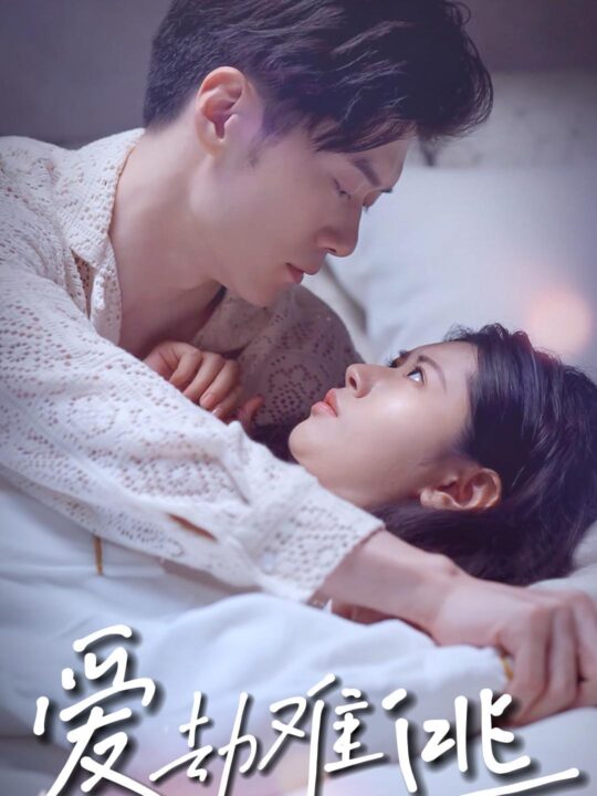 8686-爱劫难逃(93集)