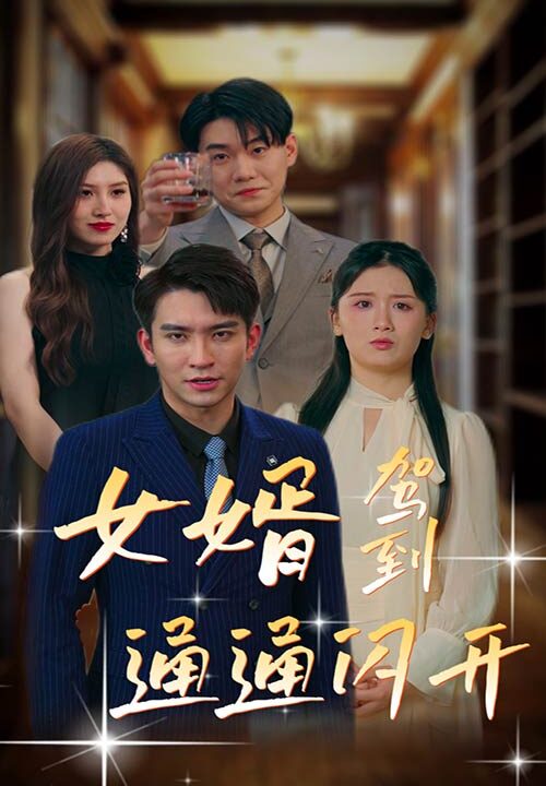 9233-女婿驾到-通通闪开(34集)