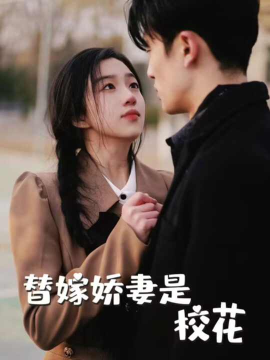 9228-替嫁娇妻是校花(66集)