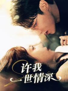 8601-许我一世情深(84集)