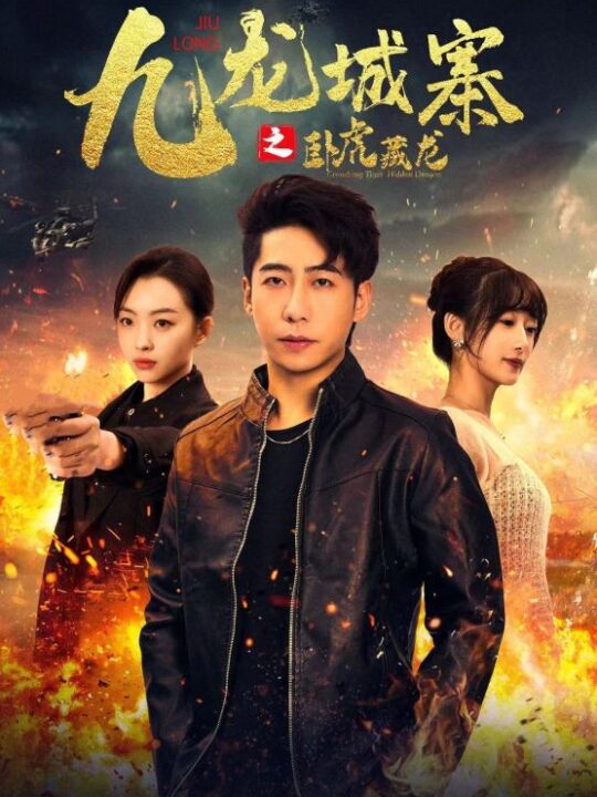 8413-九龙城寨之卧虎藏龙(80集)吴春怡