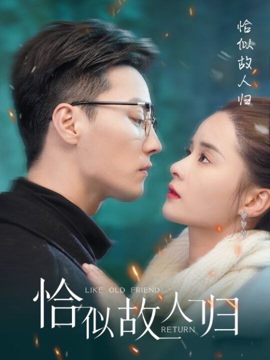 8394-恰似故人归(89集)