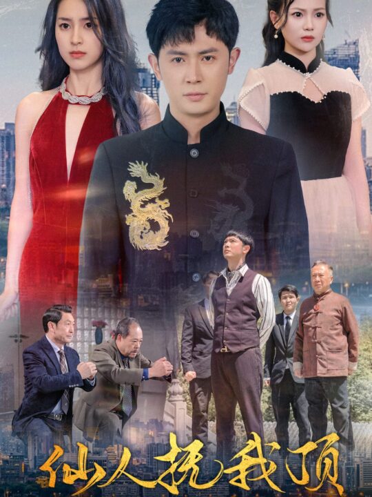 9076-仙人抚我顶(80集)王昭