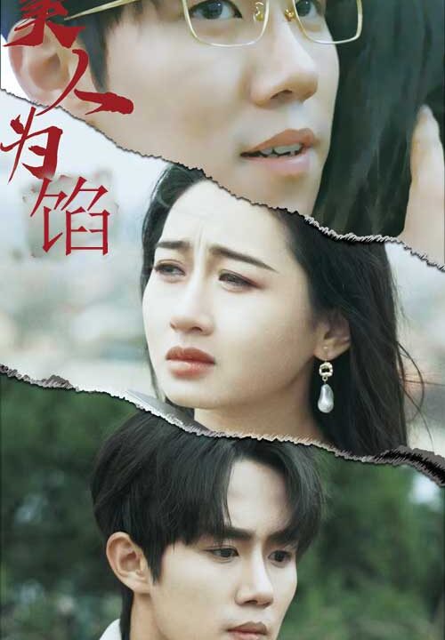 9197-美人为陷(100集)