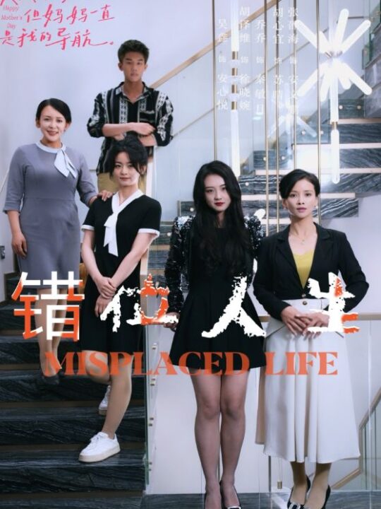 9068-错位人生(89集)