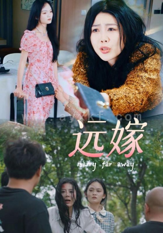 8520-远嫁(30集)海霞 最新 图1张