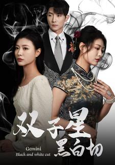 8859-双子星黑白切(82集)