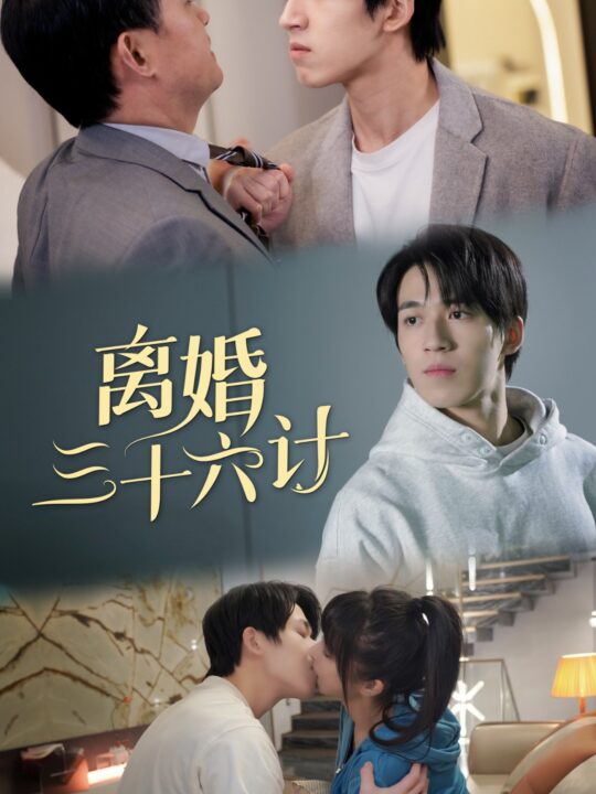 8528-离婚三十六计(96集)