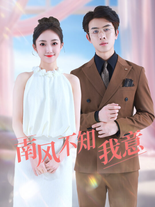 8474-南风不知我意(81集)