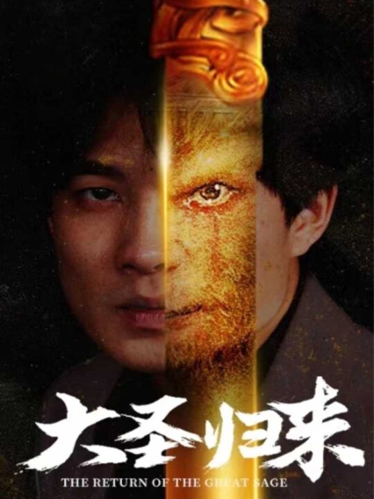 8893-大圣归来(100集)