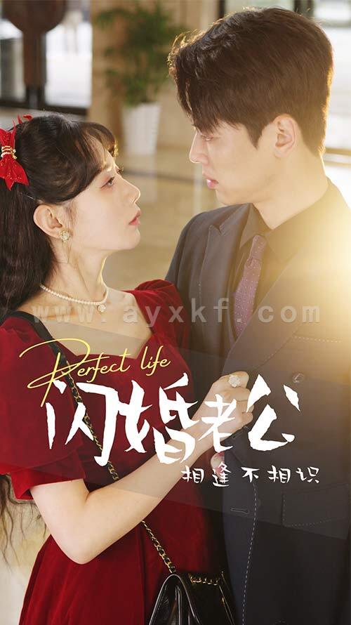 8463-闪婚老公相逢不相识(90集) 内容图1 一个实时收录全网最齐全的短视频短剧网剧小剧场的网站! 8463-闪婚老公相逢不相识(90集) 最新 图1张