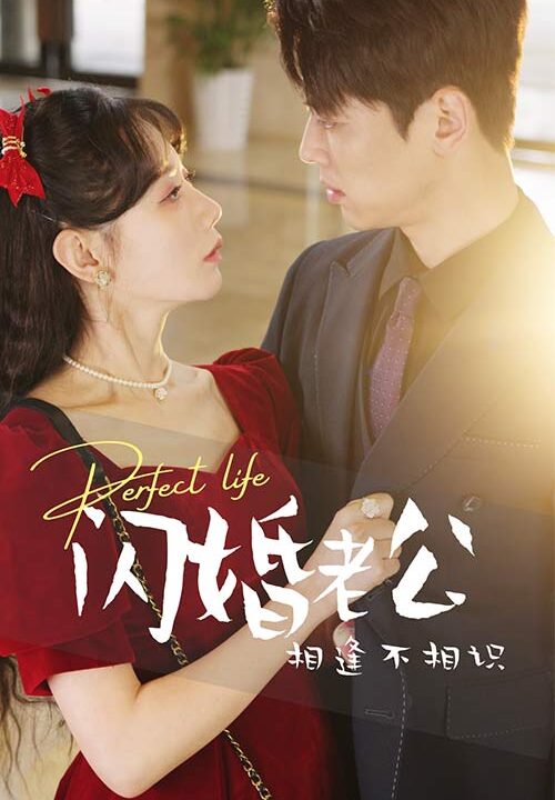 8463-闪婚老公相逢不相识(90集)