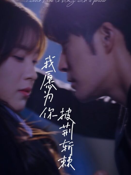 9158-我愿为你披荆斩棘(88集)