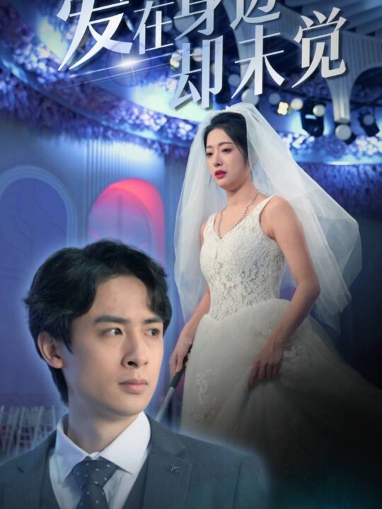 8480-爱在身边却未觉(82集)