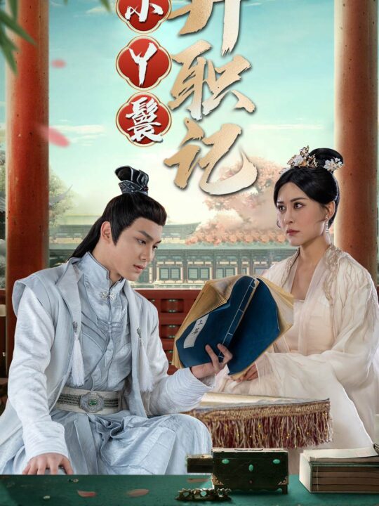 8761-小丫鬟升职记(100集)