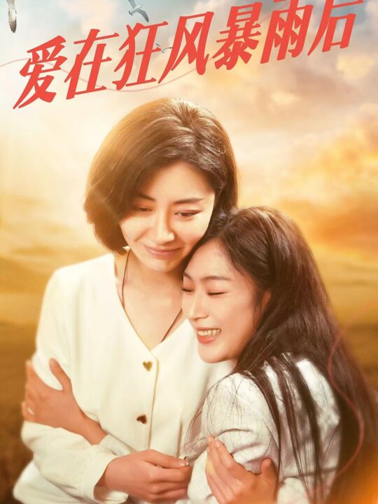 8930-爱在狂风暴雨之后(72集)