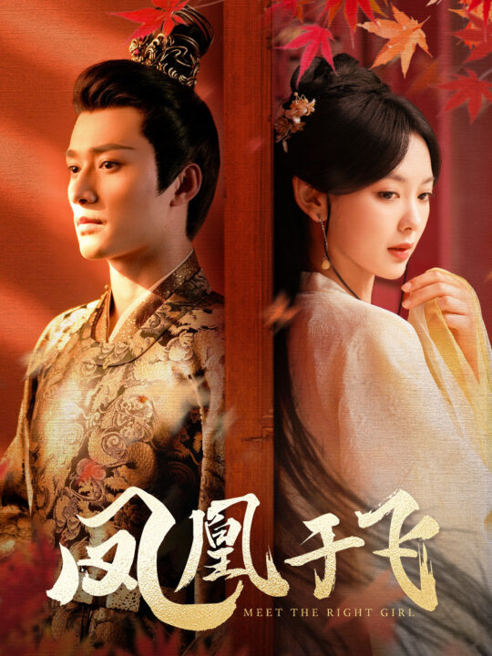 8861-凤凰于飞(79集)