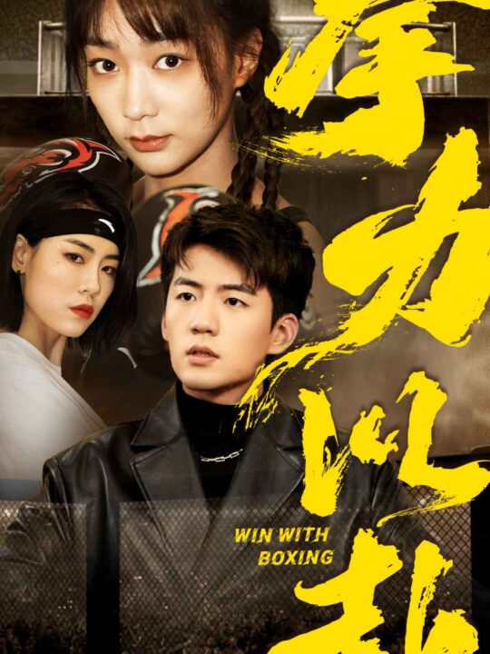 8402-拳力以赴(80集)