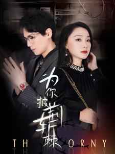 8856-为你披荆斩棘(90集)