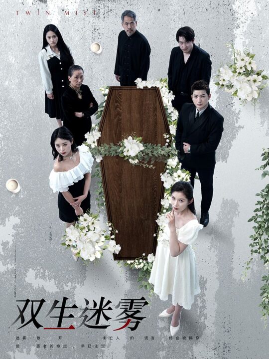 8396-双生迷雾(80集)