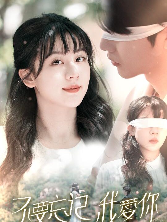 8931-不要忘记我爱你(69集)