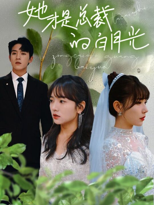 8414-她才是总裁的白月光(90集)王子怡