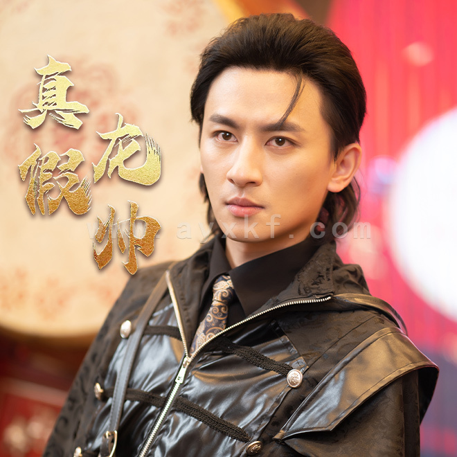 8510-真假龙帅(81集) 最新 图1张