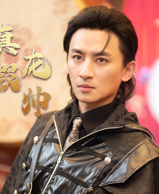 8510-真假龙帅(81集)