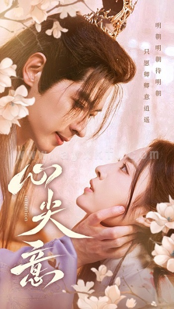 8651-心尖意(105集)