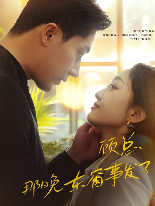 8461-顾总-那晚东窗事发了(88集)