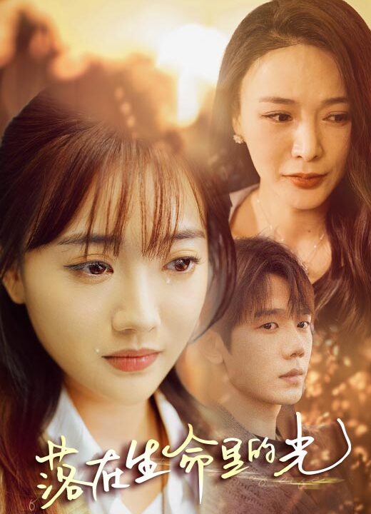 9290-落在生命里的光(78集)