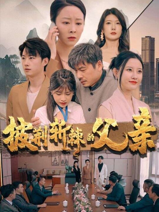 8743-披荆斩棘的父亲(81集)尹竹