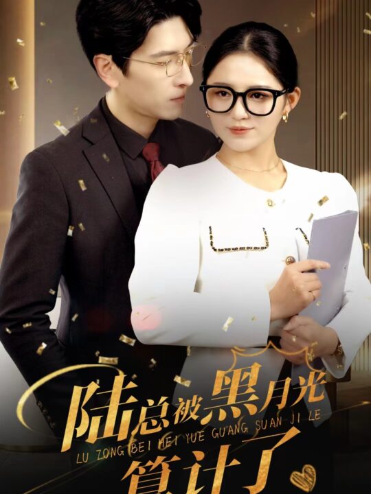 6772-陆总被黑月光算计了(93集)