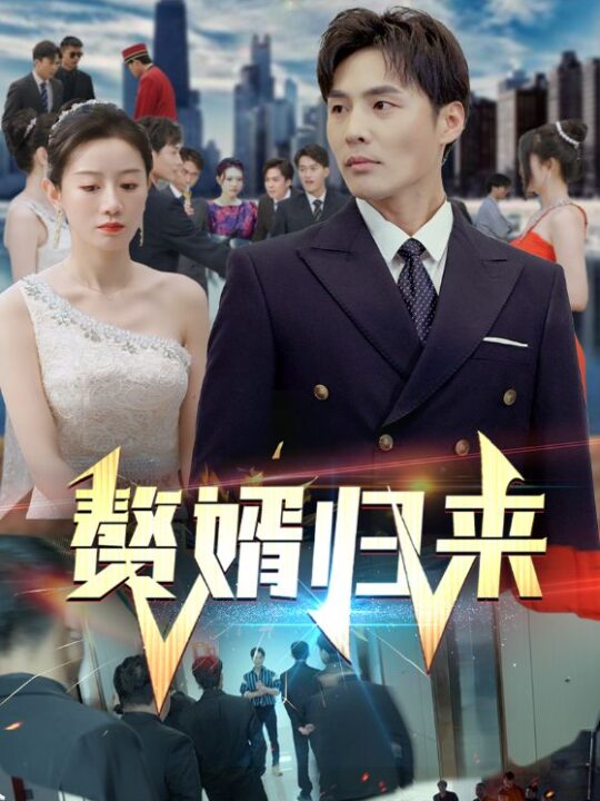 6732-赘婿归来(101集)马铭婕