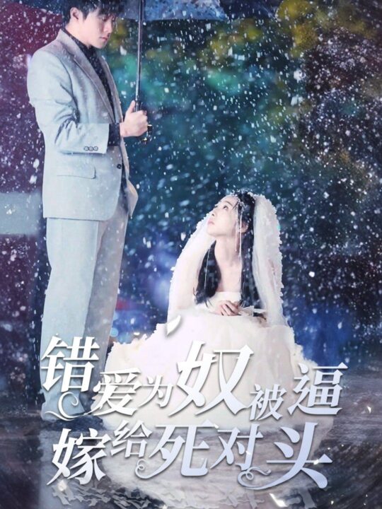 7227-错爱为奴被逼嫁给死对头(90集)