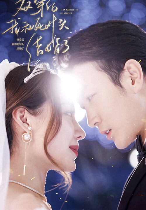 7299-双穿后-我跟死对头结婚了(86集)