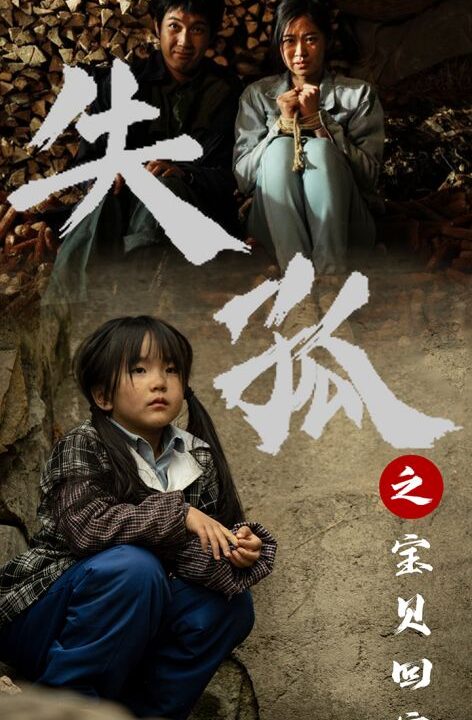 8163-失孤之宝贝回家(71集)