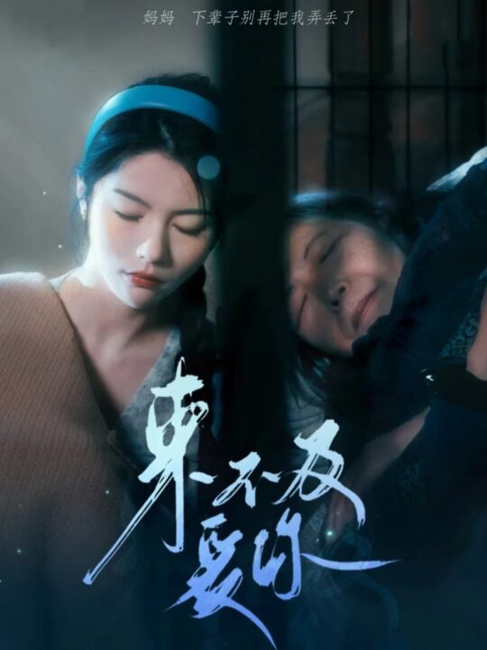 8162-来不及爱你(80集)