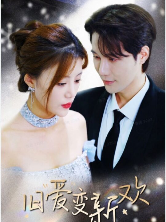 8214-旧爱变新欢(94集)