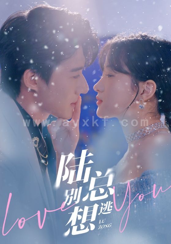 7257-陆总别想逃(80集) 最新 图1张